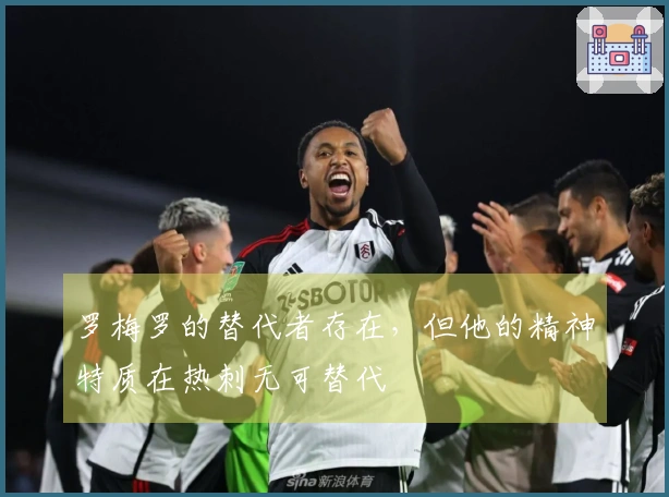 罗梅罗的替代者存在，但他的精神特质在热刺无可替代